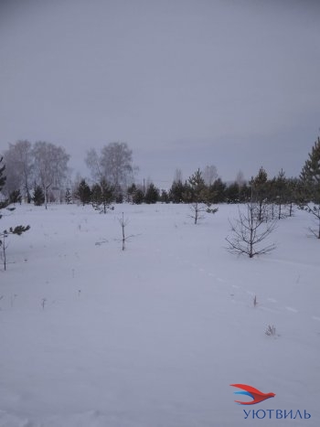 Земельный участок поселок Баженово в Сергиевом Посаде - sergiev-posad.yutvil.ru - фото 2