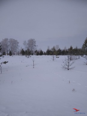 Баженово ул Южная д 7 в Сергиевом Посаде - sergiev-posad.yutvil.ru - фото 2