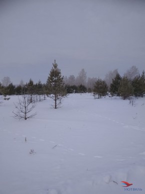 Баженово ул Южная д 7 в Сергиевом Посаде - sergiev-posad.yutvil.ru - фото 5
