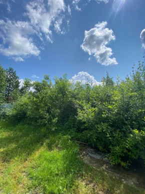 СПК Юбилейный, уч. 9 в Сергиевом Посаде - sergiev-posad.yutvil.ru - фото 14 СПК Юбилейный, уч. 9 в Сергиевом Посаде - sergiev-posad.yutvil.ru - фото 14